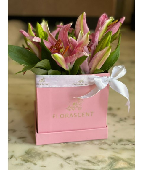 LILLY - CLASSIC CUBE